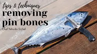 Pin Boning Bronzino | Chef Yehuda Sichel