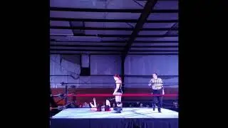 Ali bama vs killa kate vs nova Phoenix