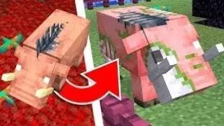 Minecraft PE Nether Update Features Add-on Download
