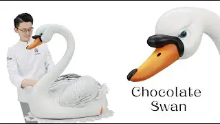 巧克力【天鹅】Chocolate Swan