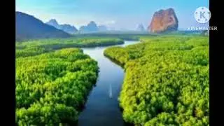 Rise Up, My Friends! &ndash; A motivation  Anthem of Hope | Selfie Music Official | Karthick Raja