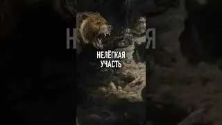 НЕЛЁГКАЯ УЧАСТЬ ПЕЩЕРНЫХ ГИГАНТОВ #shorts #палеонтология #медведь