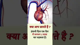 How many times does the human heart beat in a day? 🫀💓 | इंसानी दिल एक दिन में कितनी बार धड़कता है? 🫀