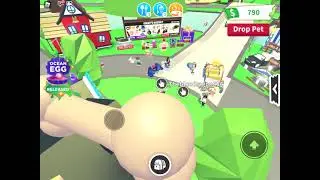 ADOPT ME TRADING ONLY THE ULTRA-RARE LADYBUG PET!!! (very successful)