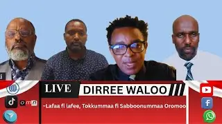 OMN: Dirree Waloo-  Haala Yeroo Gaanfa Afrikaa fi Oromiyaao