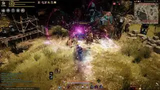 Beginner's Guide to Grinding in Black Desert