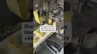 25g automatic 2-lines siomai making machine #foodmachine #siomai #siomaimachine #dumpling #dimsum