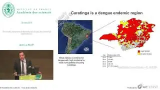 [Conf&eacute;rence] JL. IMLER - The insect reservoir of diversity for viruses and antiviral mechanisms