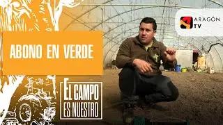 Abono en verde