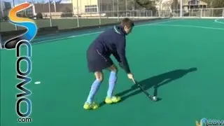 El push en el Hockey