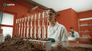 Загрязнители, вызывающие хаос?