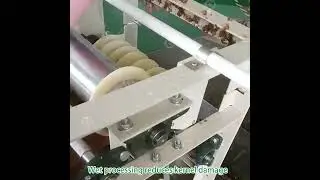 Fully Automatic Mini Peanut Blanching and Peeling Machine #gondormachinery #wetpeanutpeeler #peeler