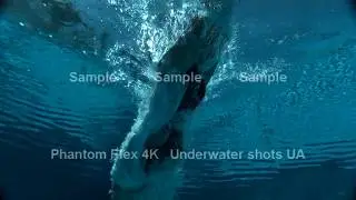 Phantom Flex 4k