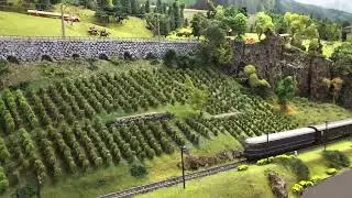 F-Zug auf eingleisiger Strecke