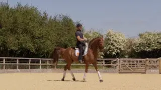 Filming a Dressage Horse with the URSA 12K Cine | Slow Mo + Real-Time Shots