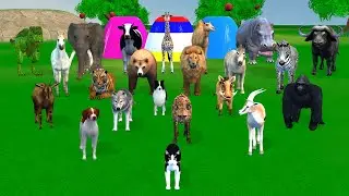 Long Slide Game with Cow Elephant Gorilla Hippopotamus Tiger 3d Animal Game Funny 3d Animals