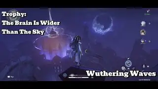 [Wuthering Waves Trophy] The Brain Is Wider Than The Sky: Reach The Highest Point Of Avinoleum