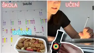 DENNÍ VLOG - poslední den ve škole před zkouškovým