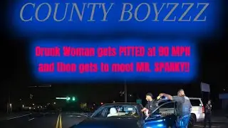 [Smooth PIT, Good Tase] Blackhawk unit PITs Drunk Lady That Fled From Traffic Stop