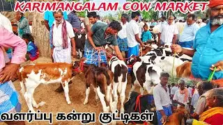 karimangalam cow market Biggest HF cow Jersey cow market Dharmapuri district