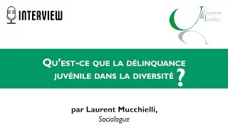 Laurent Mucchielli - Sociologue - Interview sur la délinquance juvénile