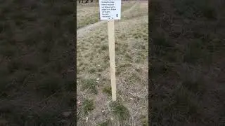 Первомай шагает ... (4)