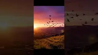 Breathtaking Sunset Hill View   Nature's Wonder Captured
