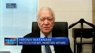 There are two reasons for the weakness of the Japanese yen, says research institute