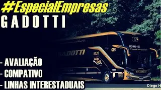 #EspecialEmpresas: GADOTTI(linhas, comparativo e avalia&ccedil;&atilde;o)