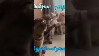 27 мая 2023 г.