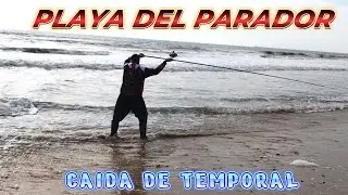 PESCA SURFCASTING CAIDA DE TEMPORAL EN PARADOR DE MAZAGON