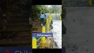 Weakend Gateway to chikamagalur #chikamagaluru #touristplace #nature