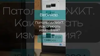 Не знаете, как описать УЗ-изменения при патологиях ЖКТ? УЗИ кишечника  #ветеринария #ultrasound