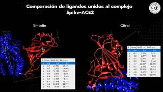 Docking Molecular Comparativo Spike SarsCoV2 e/ Emodina y Citral Cedron Kapi&acute;i
