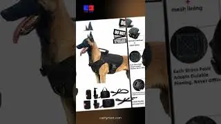 Tactical Military Dog Harness and Leash Set