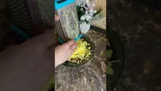 Өте дәмді салат. Дайындап көріңіз. Оп - оңай