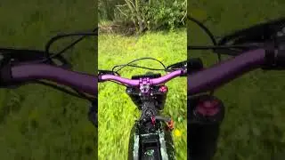 Surron 72v solo single track #pov #surron #ebike #bikelife #torpmotors