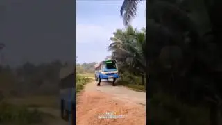 &Ocirc;nibus