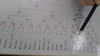Sistema de eliminaci&oacute;n doble