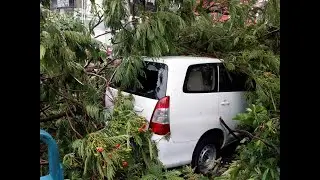 Super cyclone Amphan destroyed Kolkata- Pray for Us