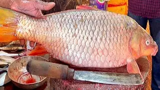 Extreme Cutting Skills | Big Carp/ Gravid Fish Cutting By Bangladeshi Expert Fish Cutter