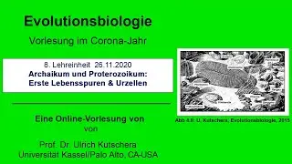 Archaikum und Proterozoikum: Erste Lebensspuren & Urzellen