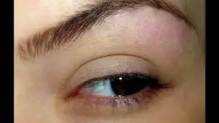 How I : Groom & Fill my eyebrows