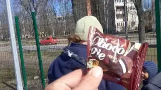 Кинологи Наталья Распертова Джони Валда  Чабо Абхазия Лео 2 Жил Был Пес Моя Жизнь Кино Музей Музей
