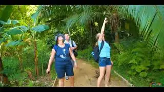 Chalet Tropical Vacation Rental - Bocas del Toro Panama