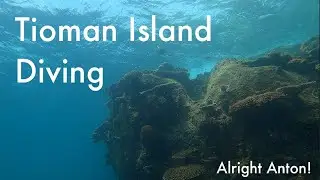 Tioman | Island Hopping Tour | Diving  | Malaysia | 2020