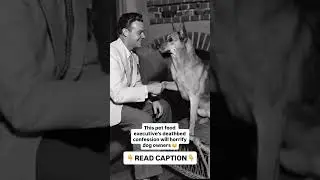 Former Pet Food Executive Revealed Industry Secrets on His Deathbed - Here's What He Confessed