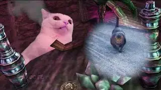 silly skooma cat meme