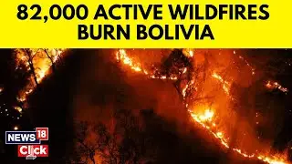 Bolivia Wildfire News | Bolivia Wildfires Burn Record Area, Scorching Homes And Farms | N18G