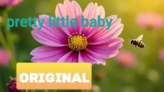 Pretty little baby ~ original 📯📯